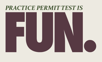 Fun Practice Permit Test This Practice Permit Test Is Fun!