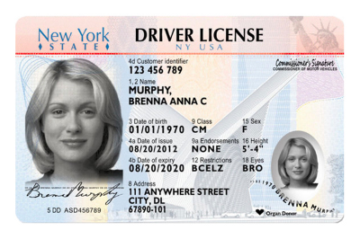 NYS Drivers License With Hi Tech Security Features